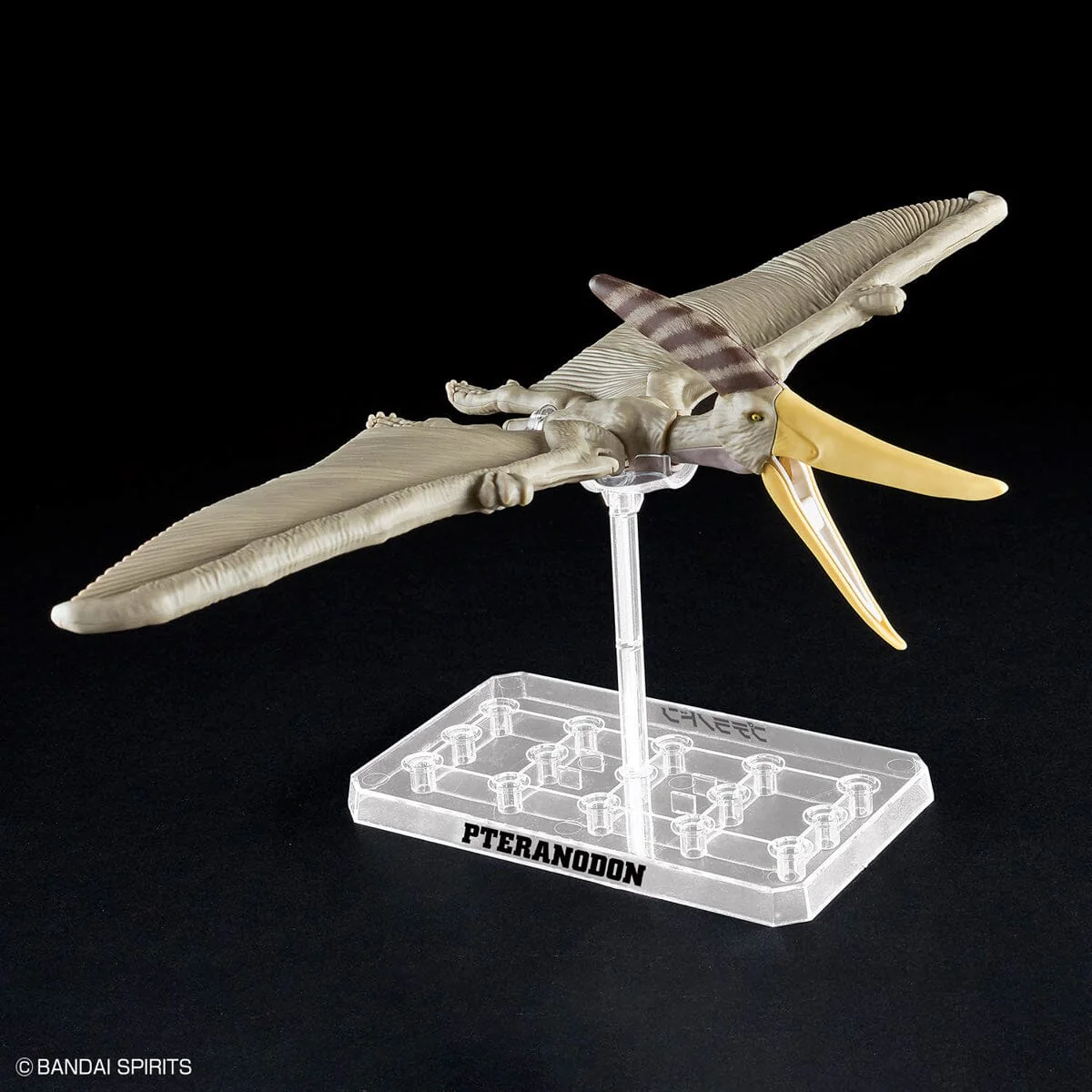 Plannosaurus Pteranodon Model Kit - Image 8