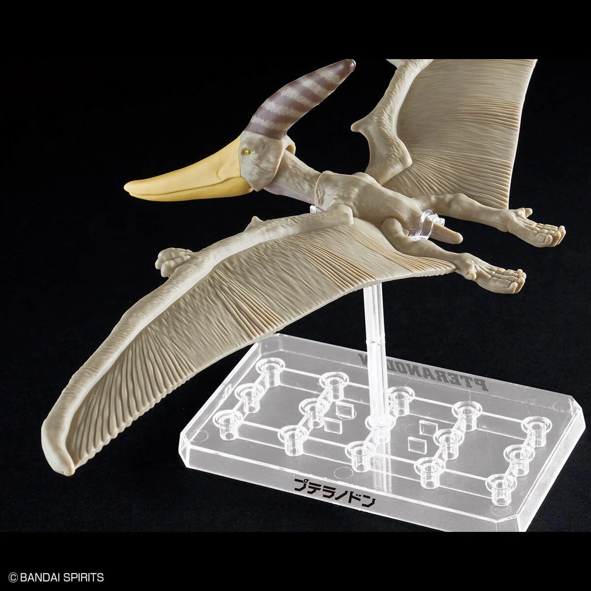 Plannosaurus Pteranodon Model Kit - Image 9