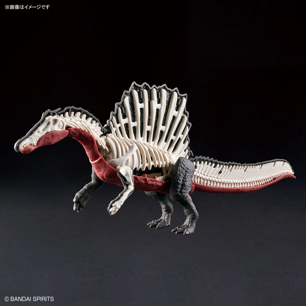Plannosaurus Spinosaurus Model Kit - Image 11