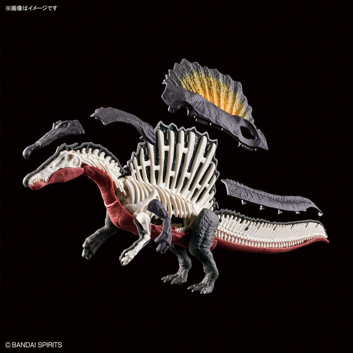 Plannosaurus Spinosaurus Model Kit - Image 12