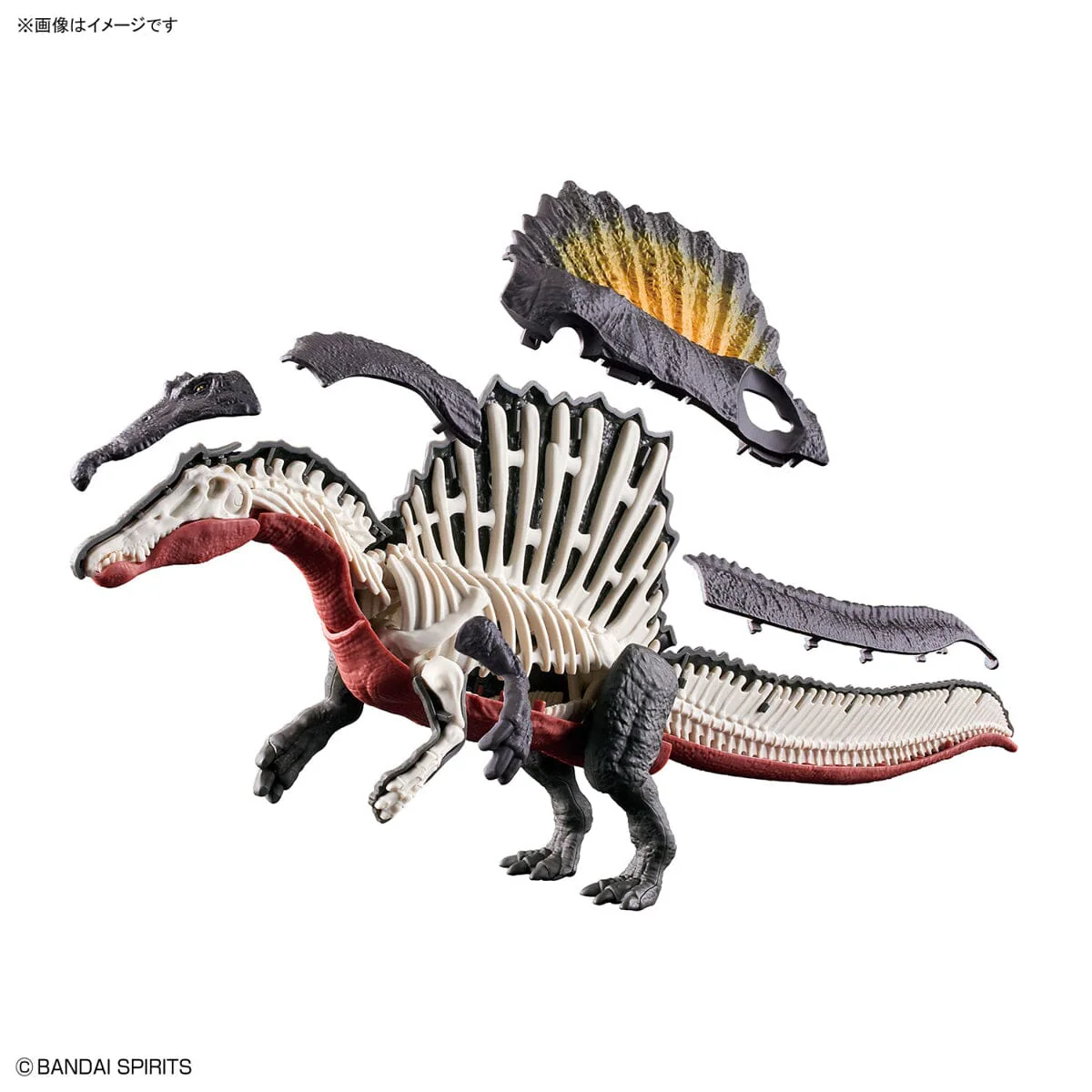 Plannosaurus Spinosaurus Model Kit - Image 13