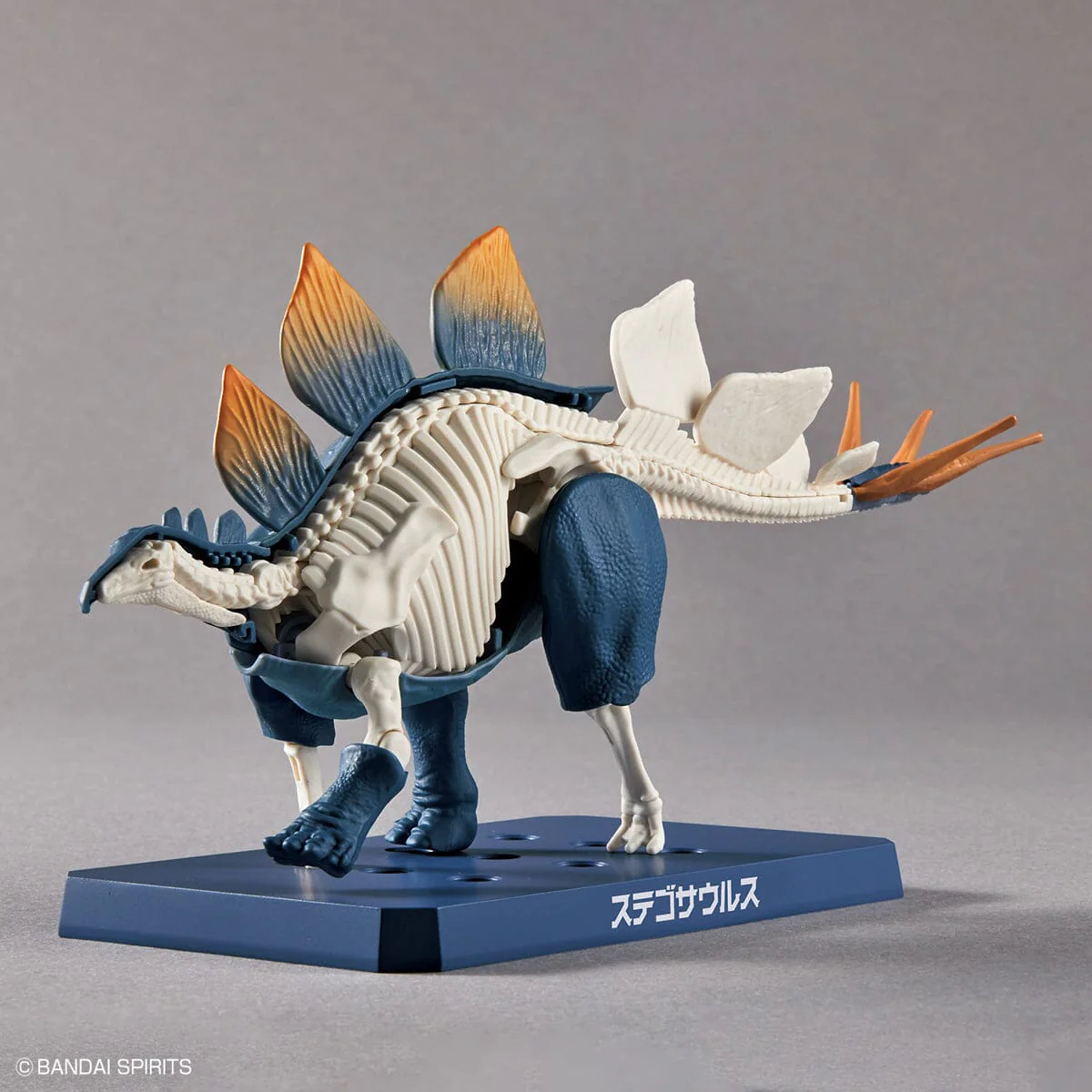 Plannosaurus Stegosaurus Model Kit - Image 11