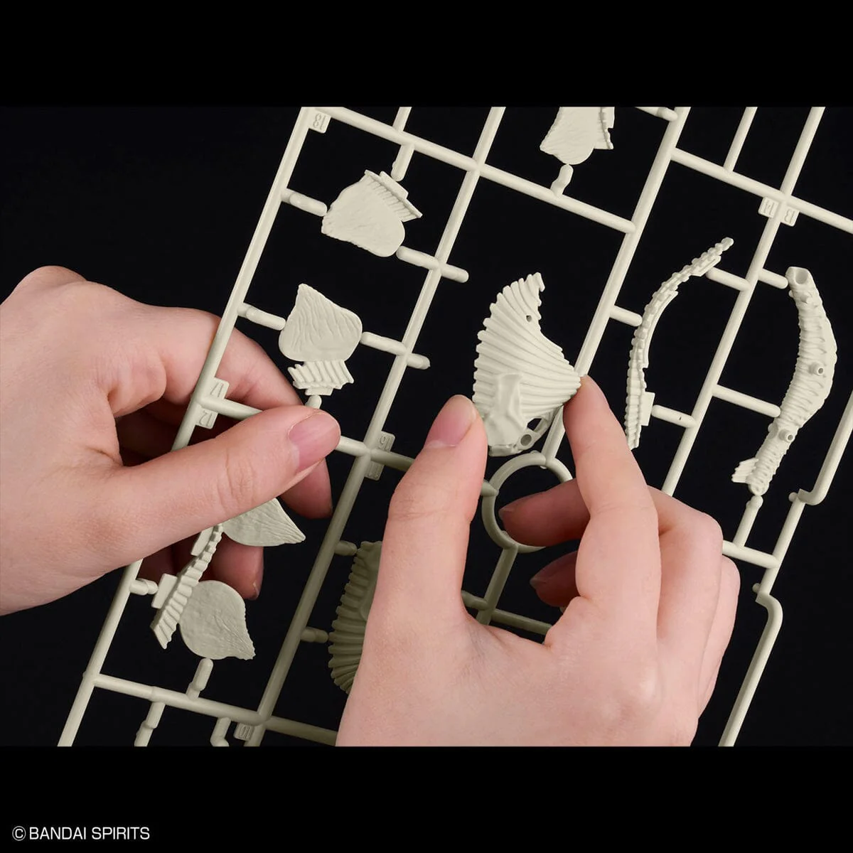 Plannosaurus Stegosaurus Model Kit - Image 12