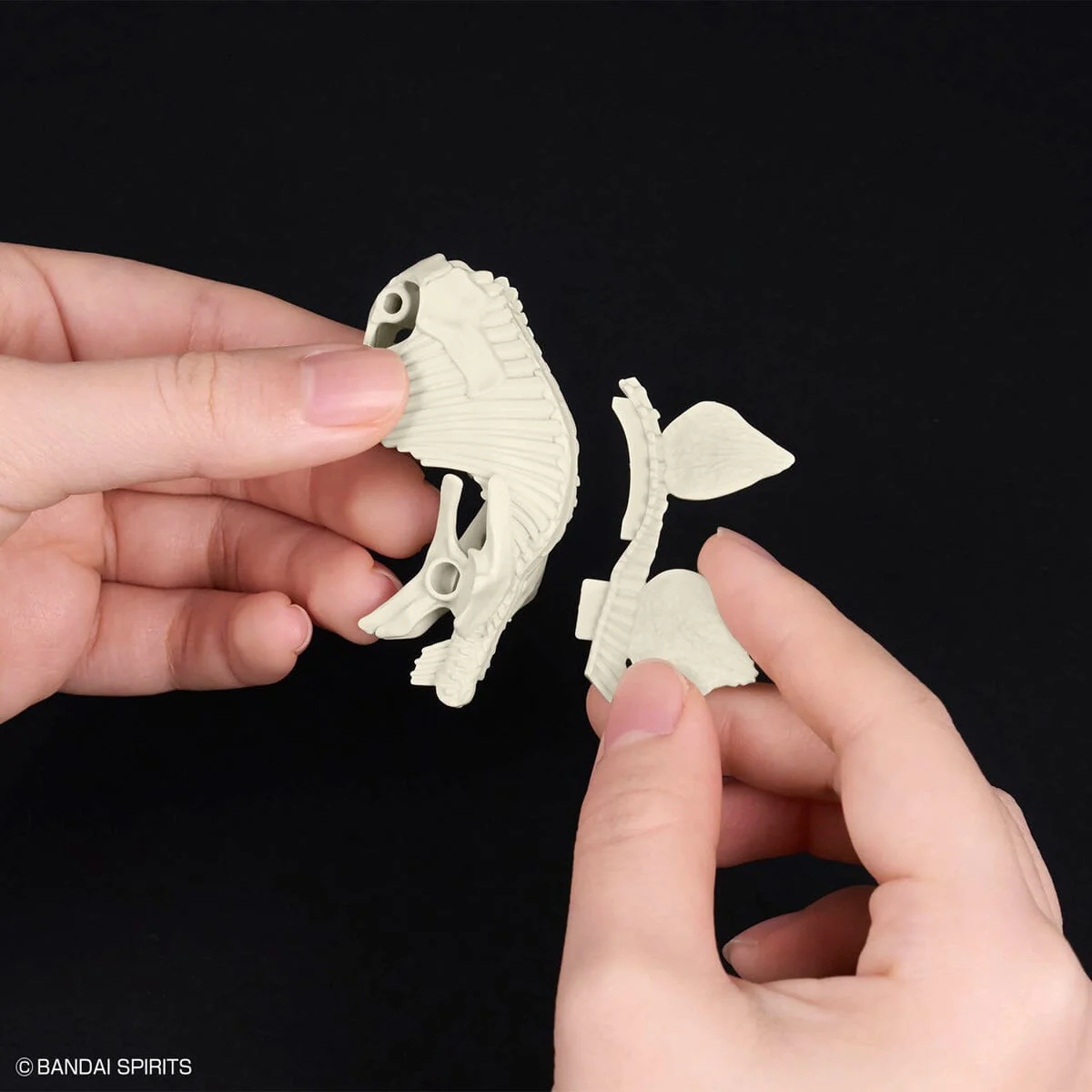 Plannosaurus Stegosaurus Model Kit - Image 13