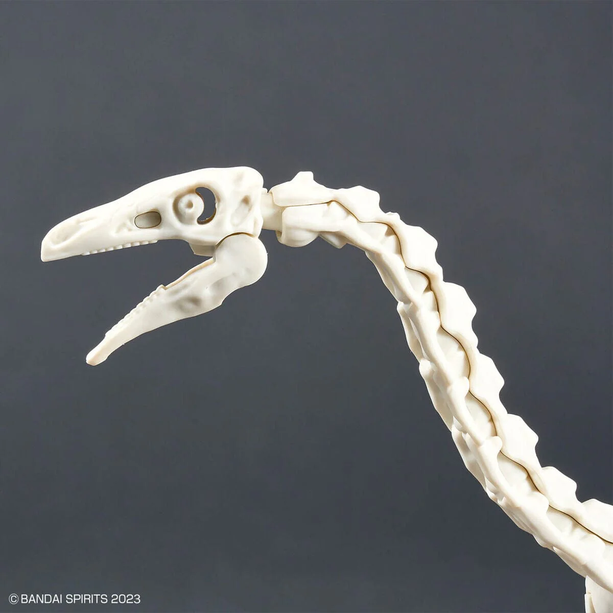 Plannosaurus Therizinosaurus Model Kit - Image 13