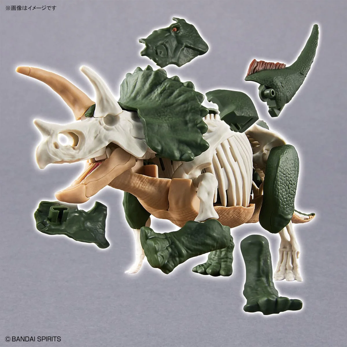 Plannosaurus Triceratops Model Kit - Image 10