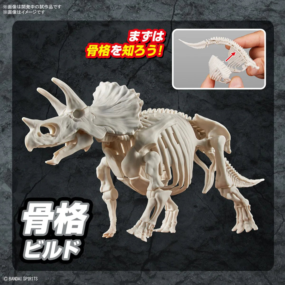 Plannosaurus Triceratops Model Kit - Image 12