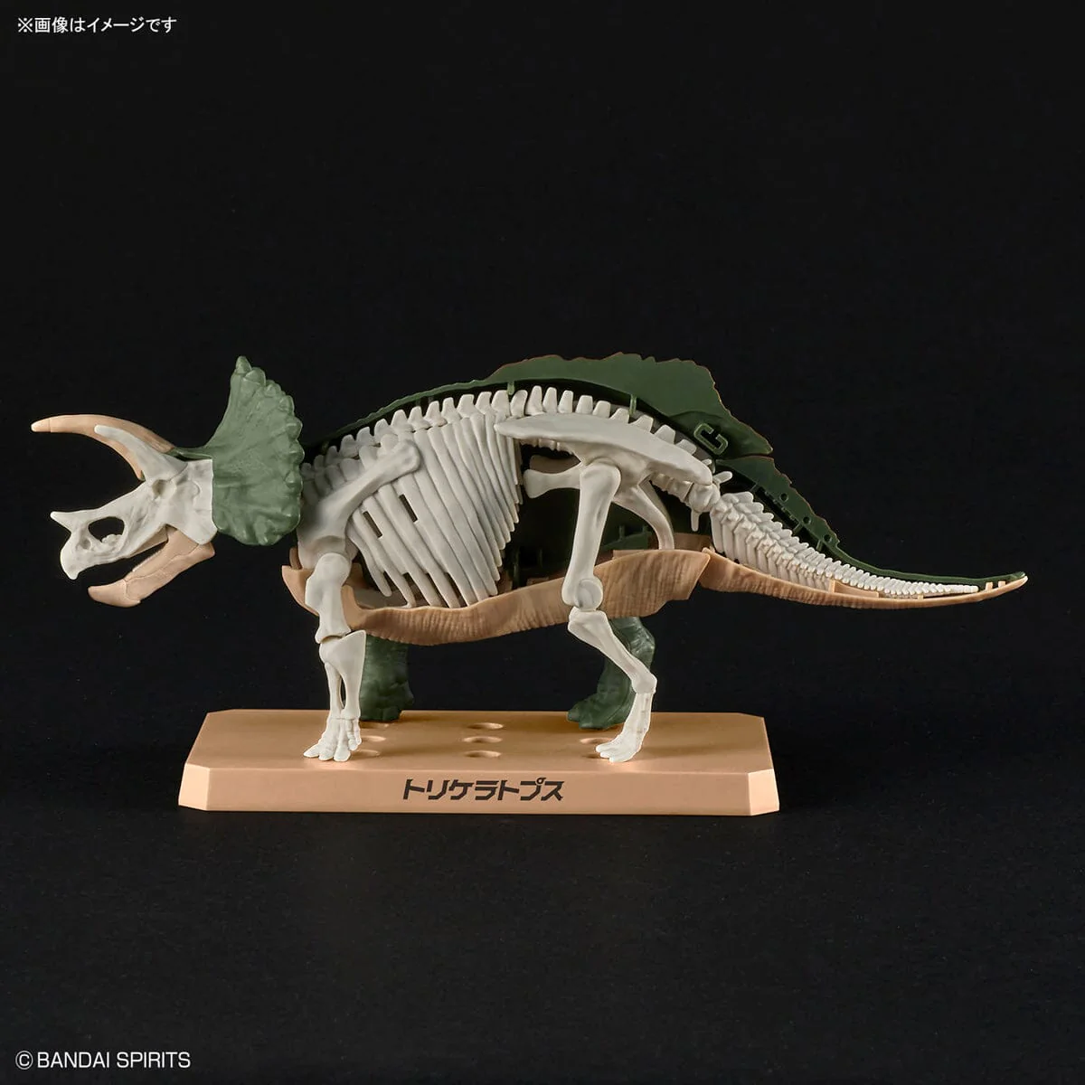 Plannosaurus Triceratops Model Kit - Image 9