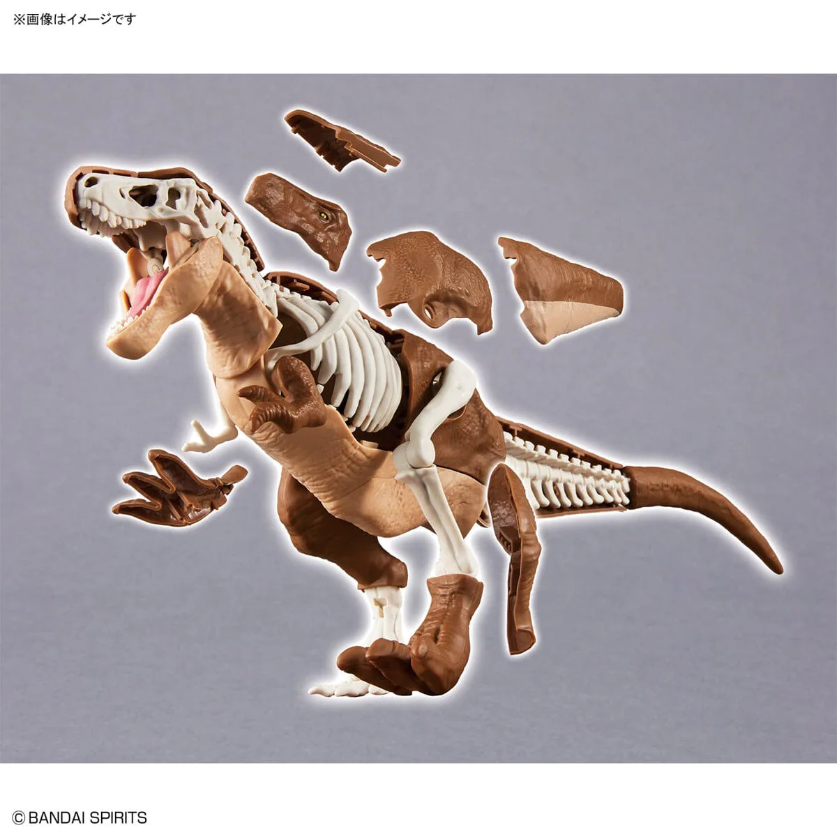 Plannosaurus Tyrannosaurus Model Kit - Image 10