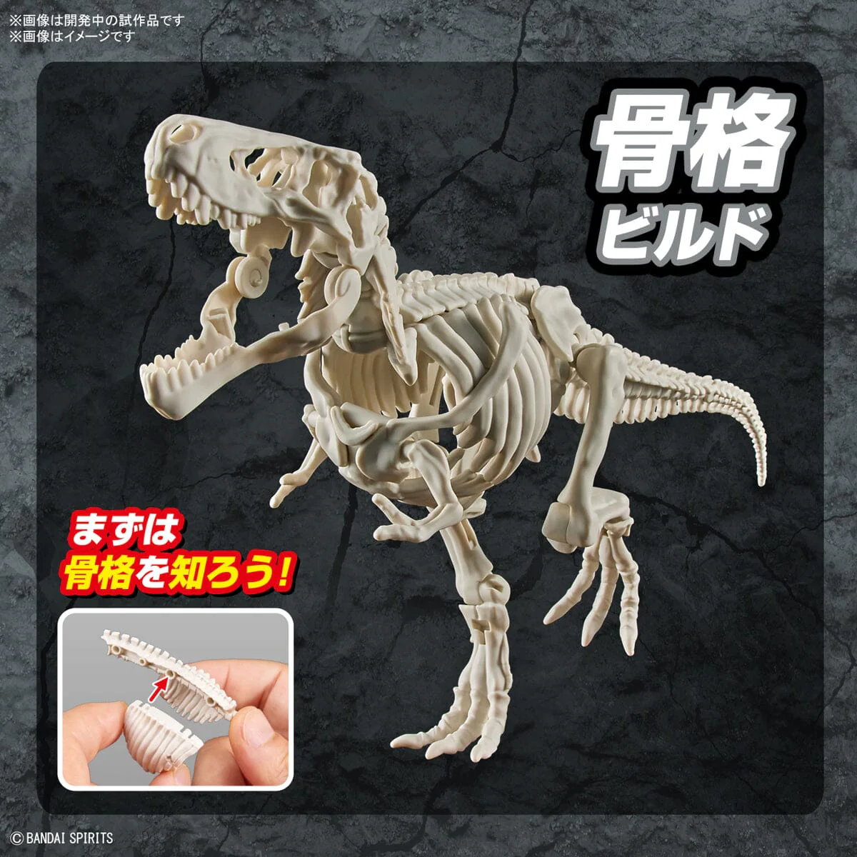 Plannosaurus Tyrannosaurus Model Kit - Image 12