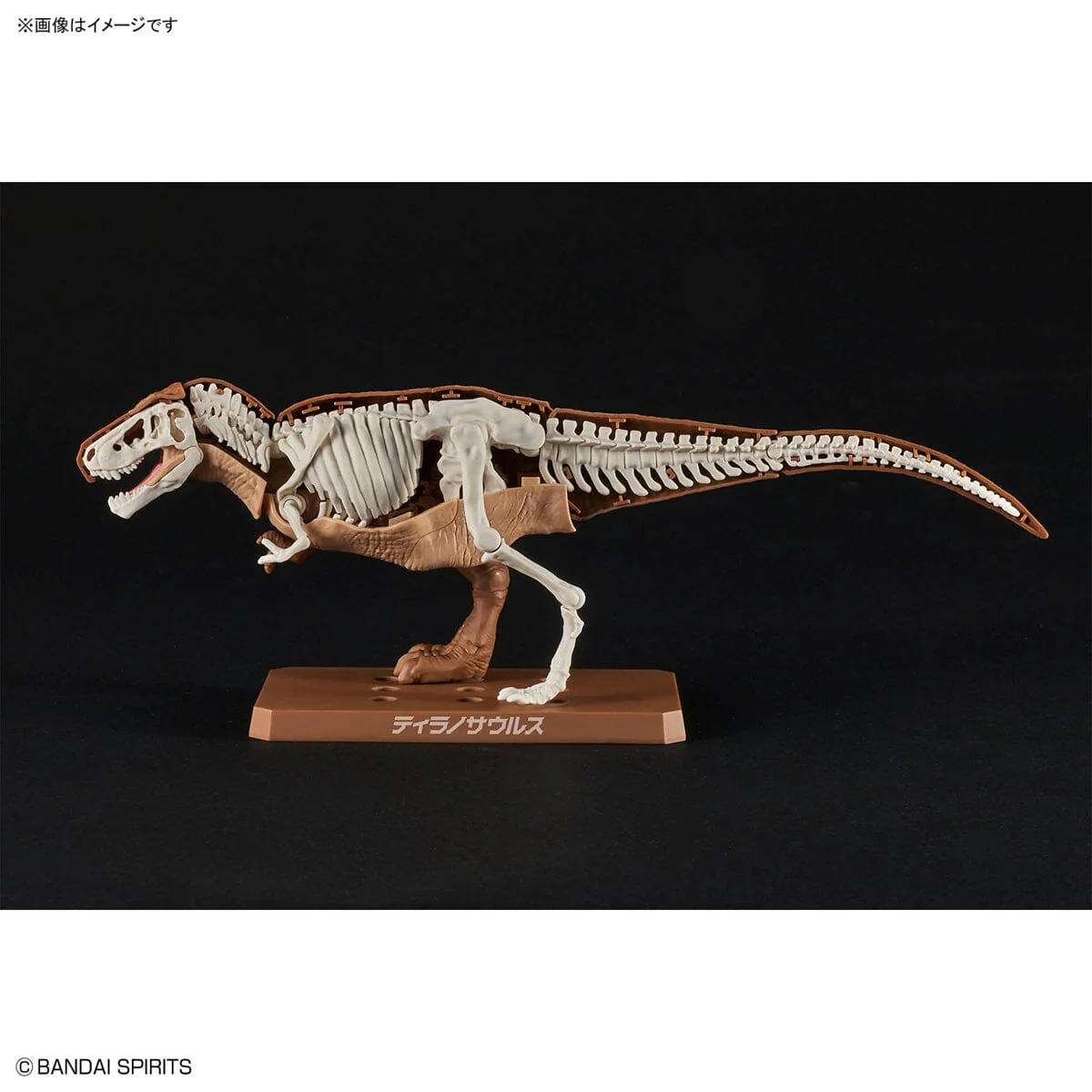 Plannosaurus Tyrannosaurus Model Kit - Image 9