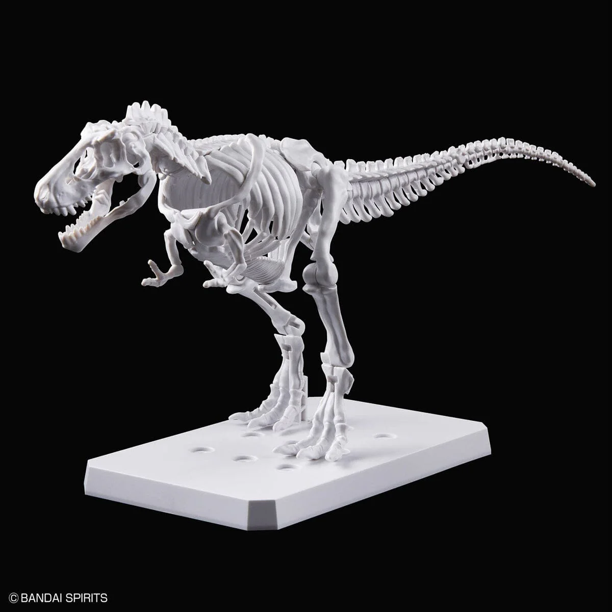 Plannosaurus Tyrannosaurus Rex (Painting Ver.) Model Kit - Image 6