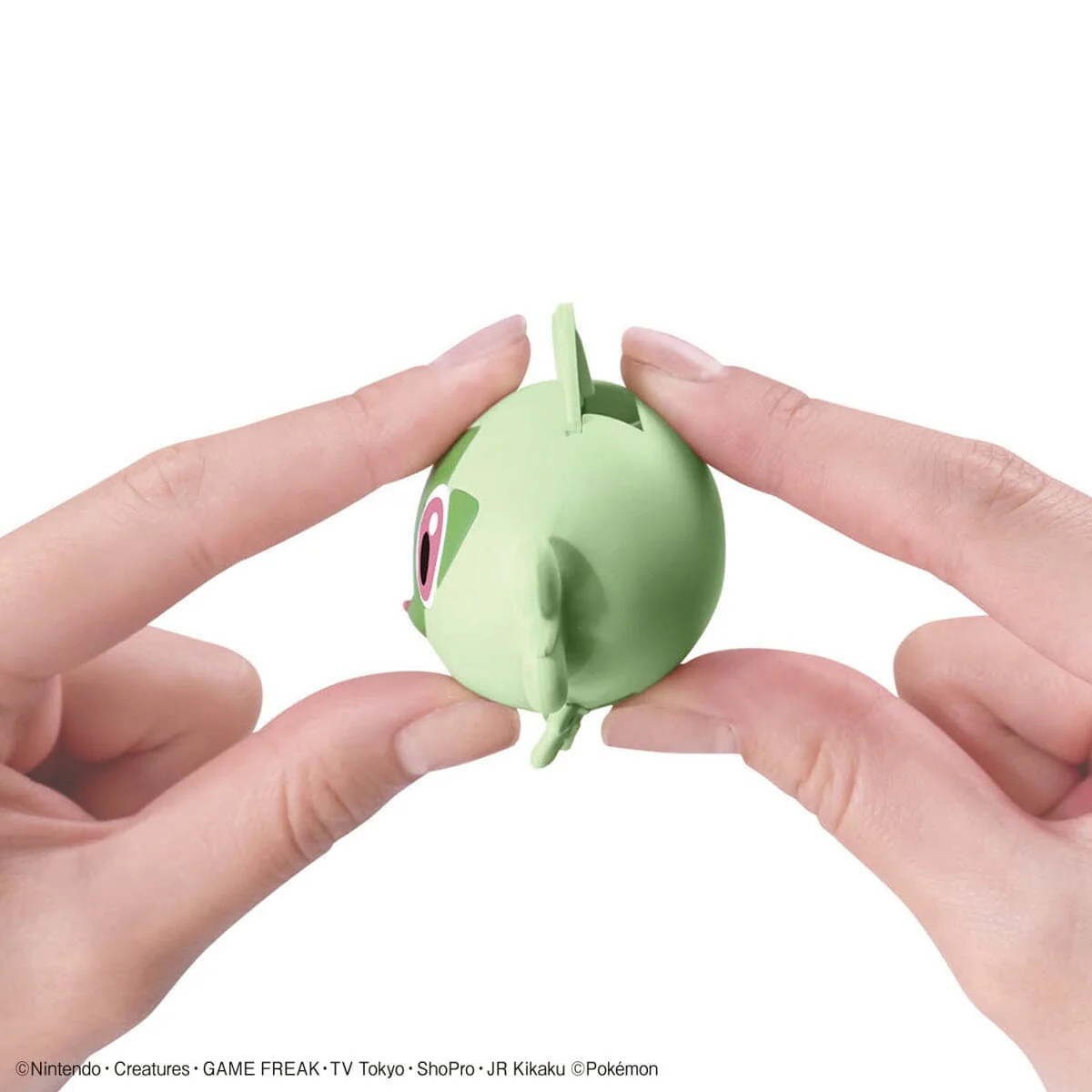 Pokemon Sprigatito 18 Quick Model Kit - Image 6