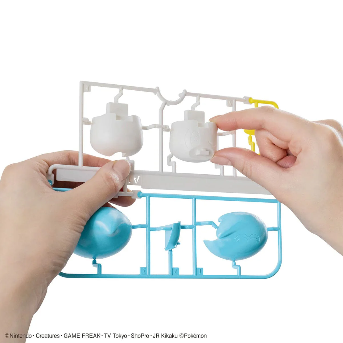 Pokemon Quaxly 19 Quick Model Kit - Image 5