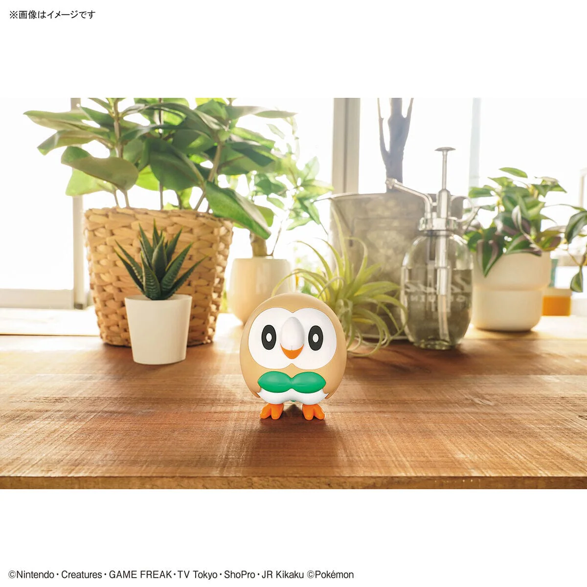 Pokemon Rowlet 10 Quick Model Kit - Image 6
