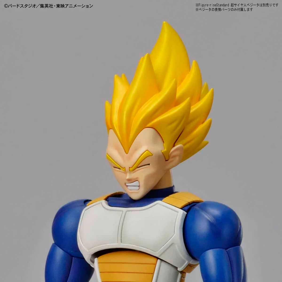 Dragon Ball Z Figure-rise Standard Legendary Super Saiyan Broly (New Packaging) Model Kit - Image 10