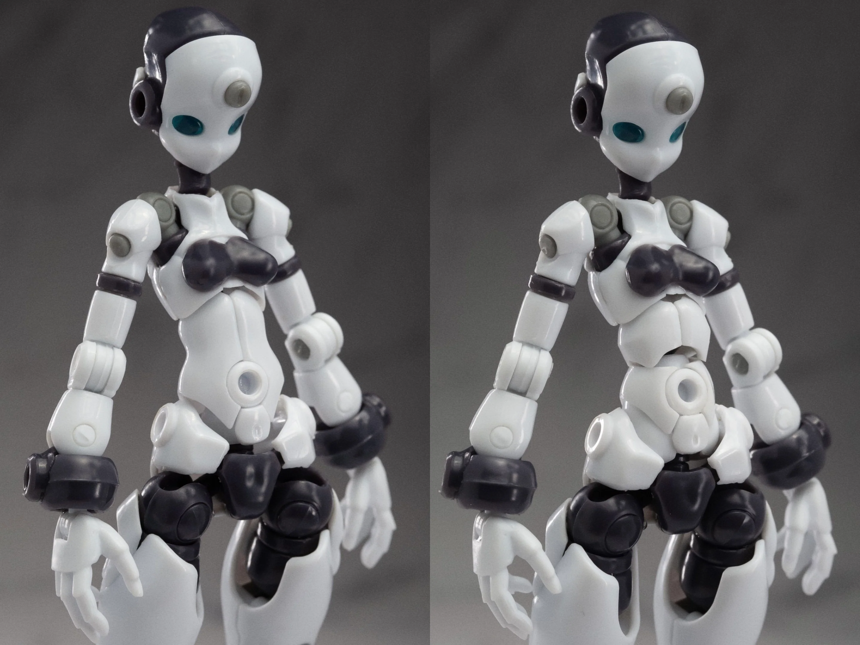 Altered Gene Base Body 01 1/12 Scale Model Kit - Image 17