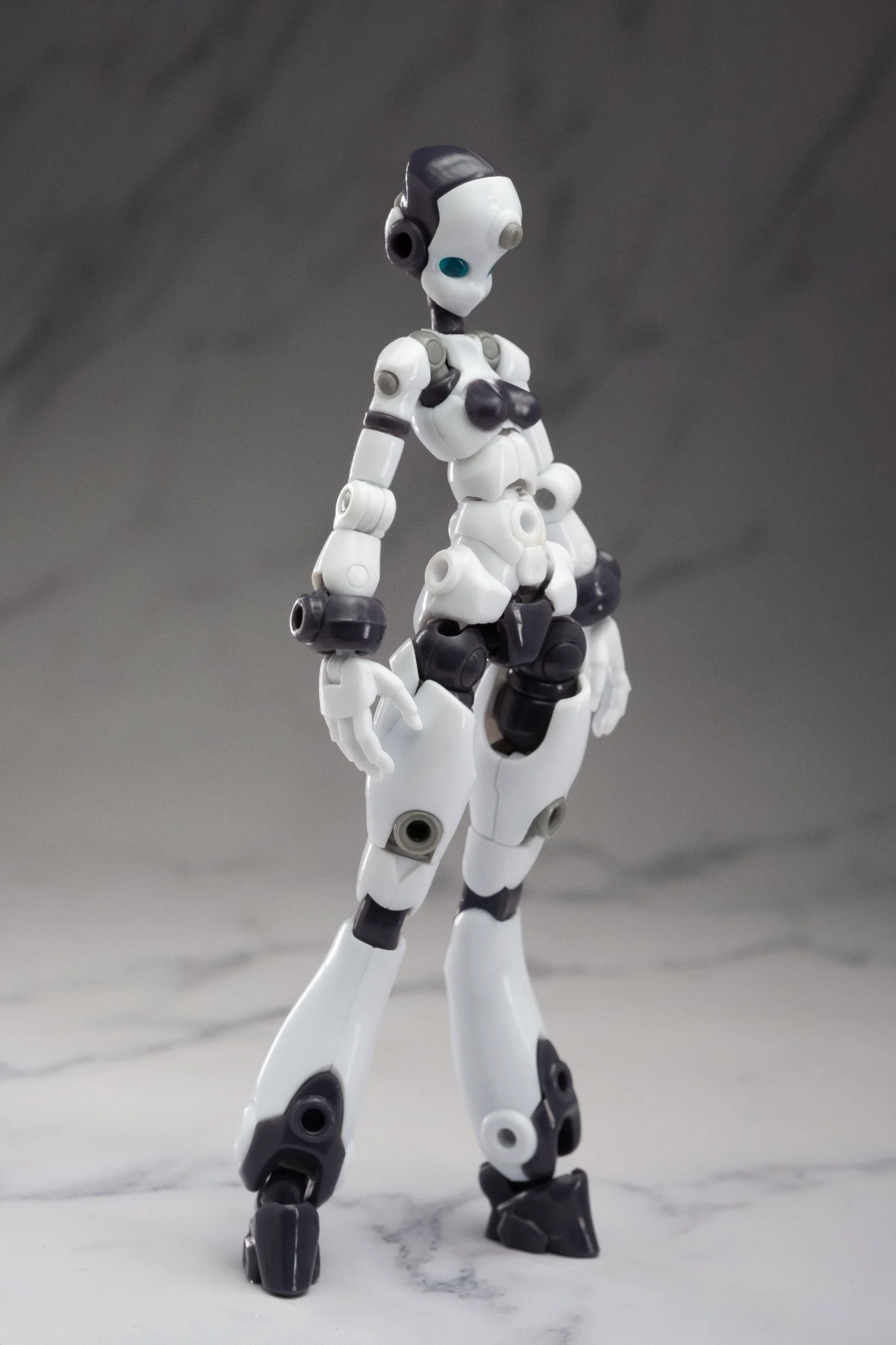 Altered Gene Base Body 01 1/12 Scale Model Kit - Image 20
