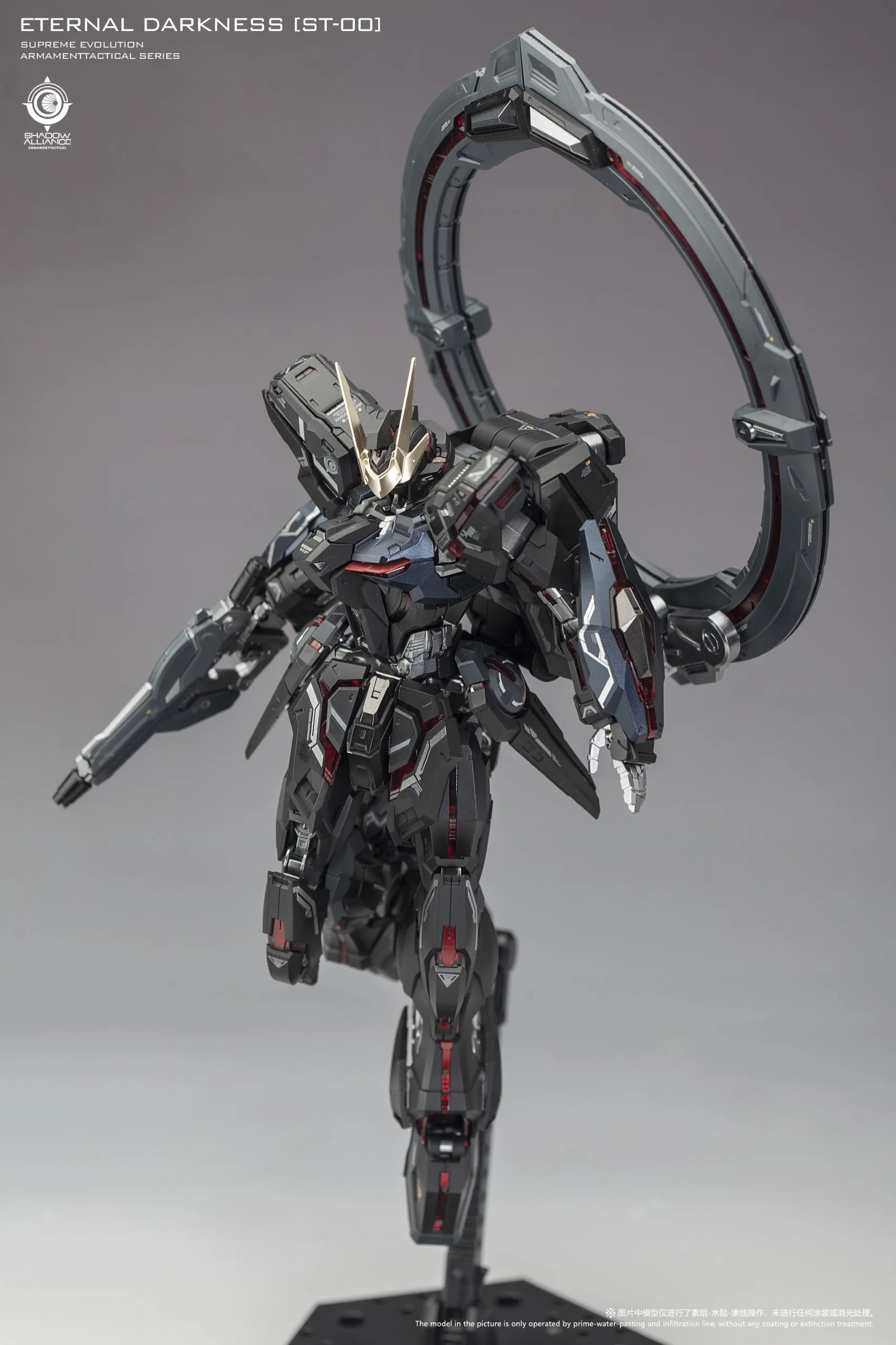 Eternal Darkness Limited Edition Model Kit (ST-00) Star Glory - Image 15
