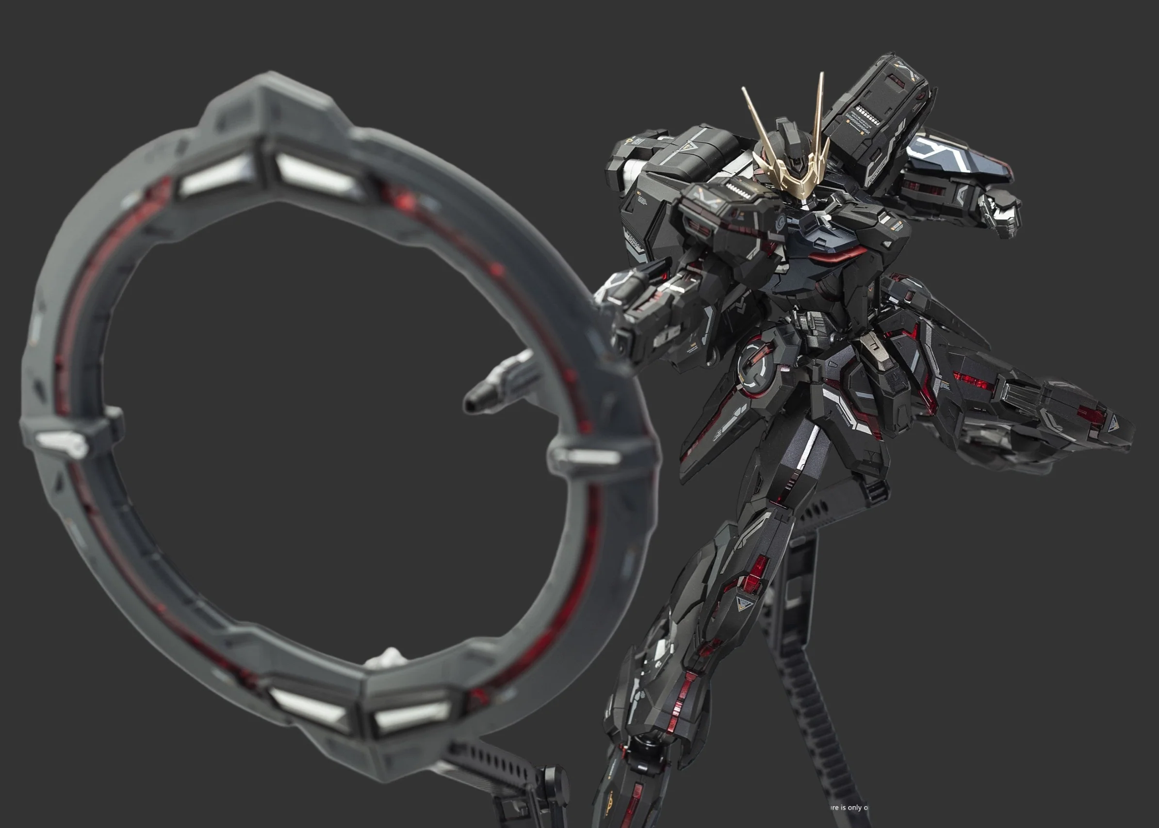 Eternal Darkness Limited Edition Model Kit (ST-00) Star Glory - Image 6
