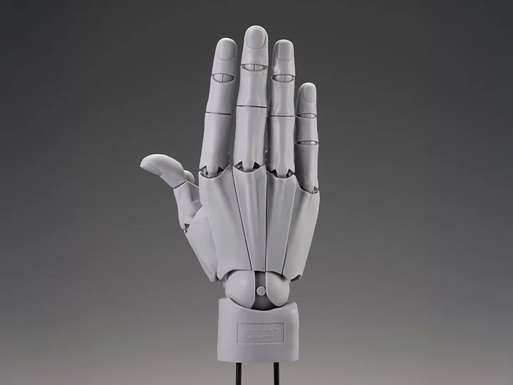 Takahiro Kagami Artist Support Item Hand Model (Men's Right Hand Gray Ver.)