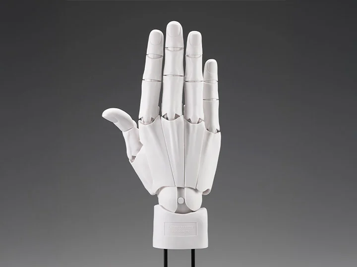 Takahiro Kagami Artist Support Item Hand Model (Men's Right Hand White Ver.)