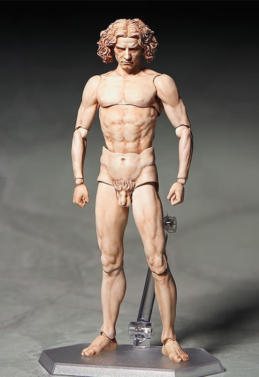 The Table Museum figma SP-075 Vitruvian Man - Image 4