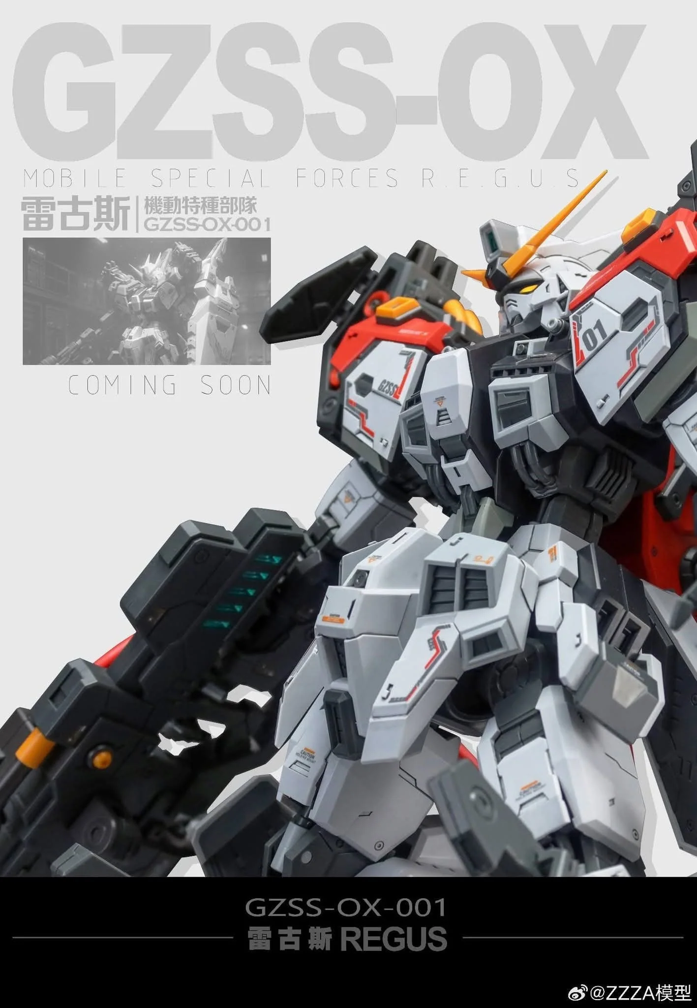 ZZA - 02 - GZSS-OX - REGUS - Image 10